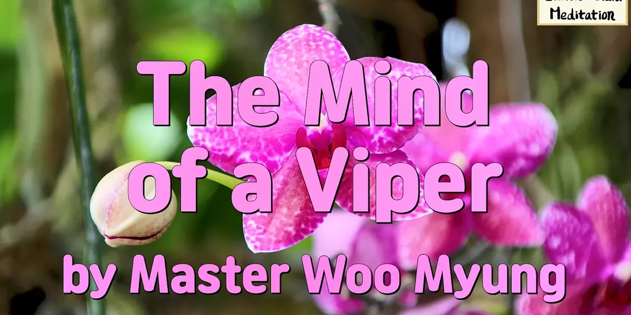 🌅 THE MIND OF A VIPER CANNOT REACH HEAVEN: ONLY WARM REPENTANCE TOUCHES TRUTH | MASTER WOO MYUNG | SANTA CLARA MEDITATION
