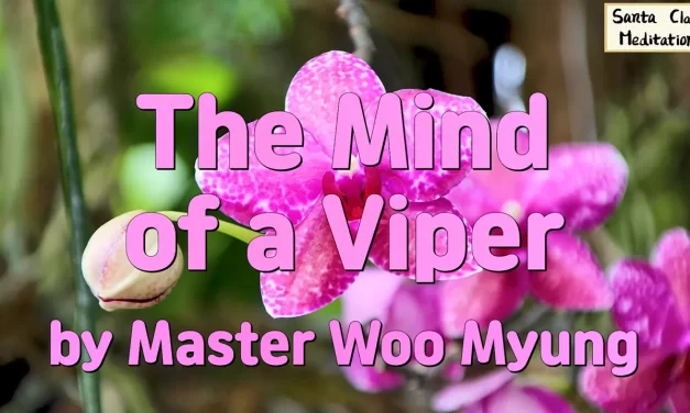 🌅 THE MIND OF A VIPER CANNOT REACH HEAVEN: ONLY WARM REPENTANCE TOUCHES TRUTH | MASTER WOO MYUNG | SANTA CLARA MEDITATION