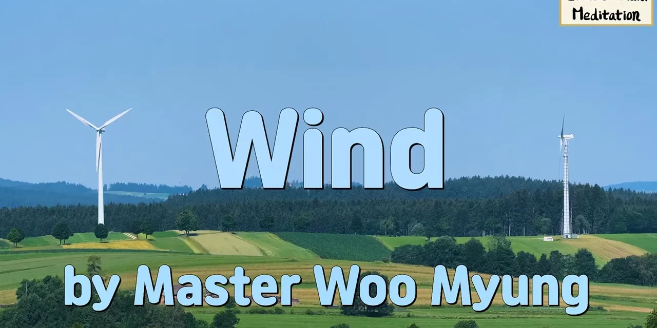 🍃 Wind: Let Go of Futility and Become One with the Universe | Master Woo Myung | Santa Clara Meditation