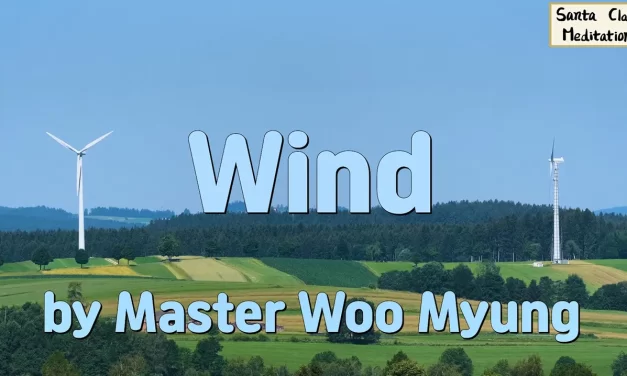 🍃 Wind: Let Go of Futility and Become One with the Universe | Master Woo Myung | Santa Clara Meditation