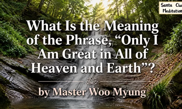 🌠 What Is the Meaning of the Phrase, “Only I Am Great in All of Heaven and Earth”?: universe self truth ego removal | Master Woo Myung | Santa Clara Meditation