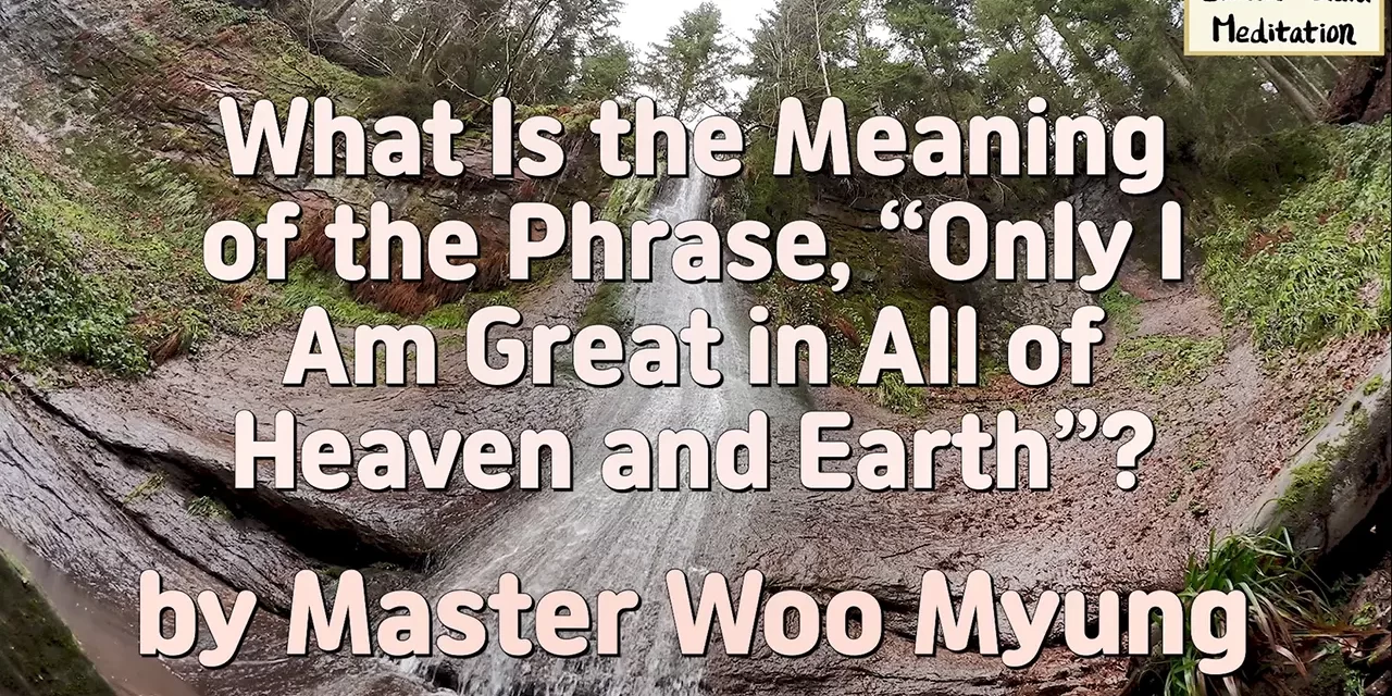 🌠 What Is the Meaning of the Phrase, “Only I Am Great in All of Heaven and Earth”?: universe self truth ego removal | Master Woo Myung | Santa Clara Meditation