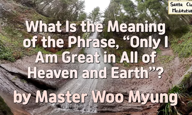 🌠 What Is the Meaning of the Phrase, “Only I Am Great in All of Heaven and Earth”?: universe self truth ego removal | Master Woo Myung | Santa Clara Meditation