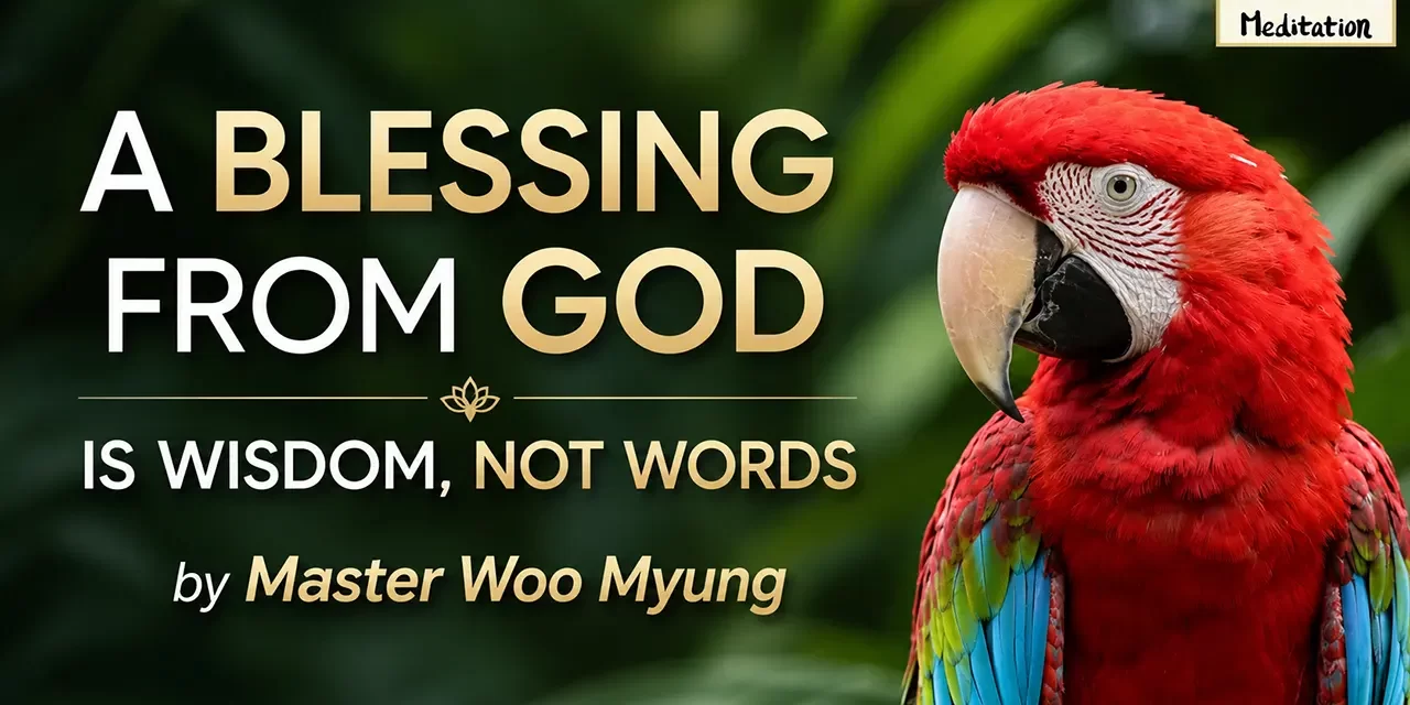 🙌 A Blessing from God Is Wisdom, Not Words | Master Woo Myung | Santa Clara Meditation