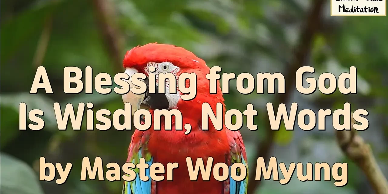🙌 A Blessing from God Is Wisdom, Not Words | Master Woo Myung | Santa Clara Meditation