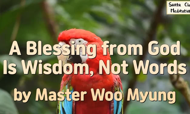 🙌 A Blessing from God Is Wisdom, Not Words | Master Woo Myung | Santa Clara Meditation