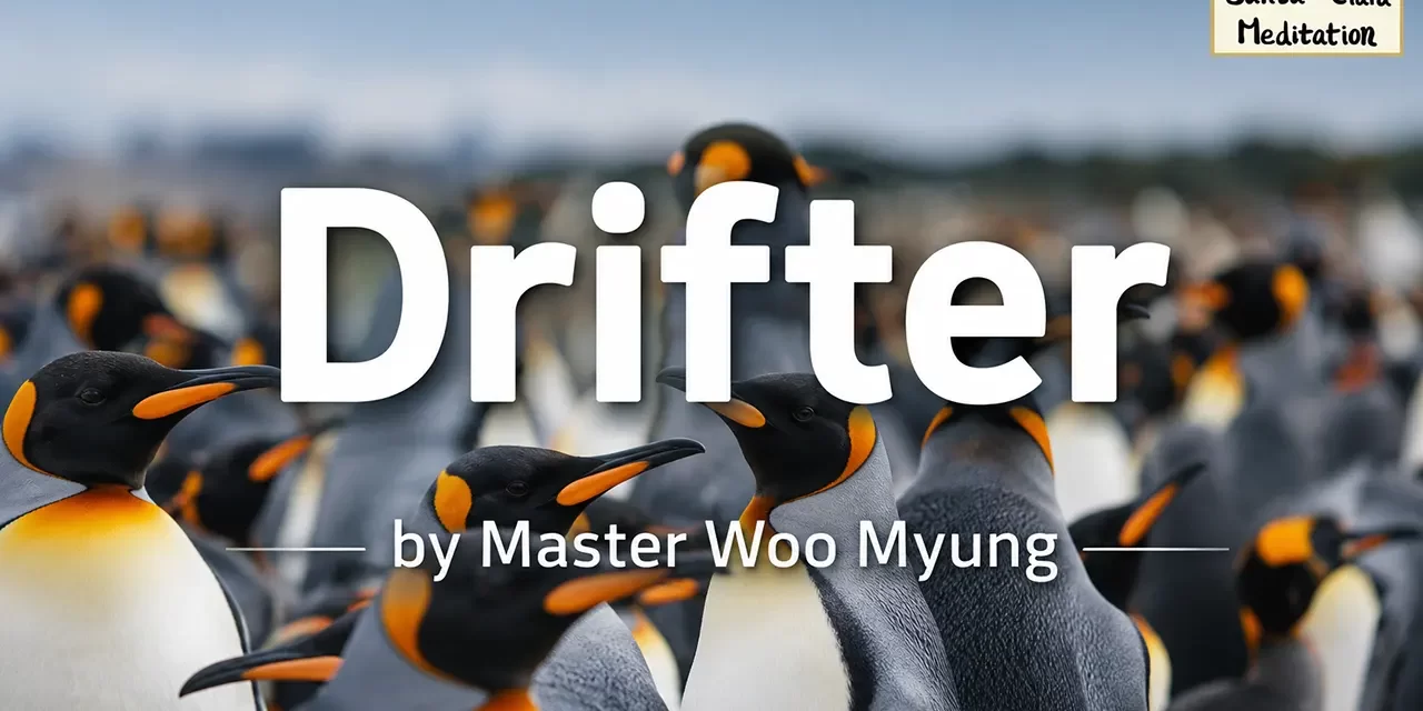 🌬️ Drifter: the wandering mind and the burden of the self | Master Woo Myung | Santa Clara Meditation