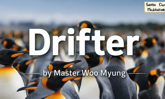 🌬️ Drifter: the wandering mind and the burden of the self | Master Woo Myung | Santa Clara Meditation