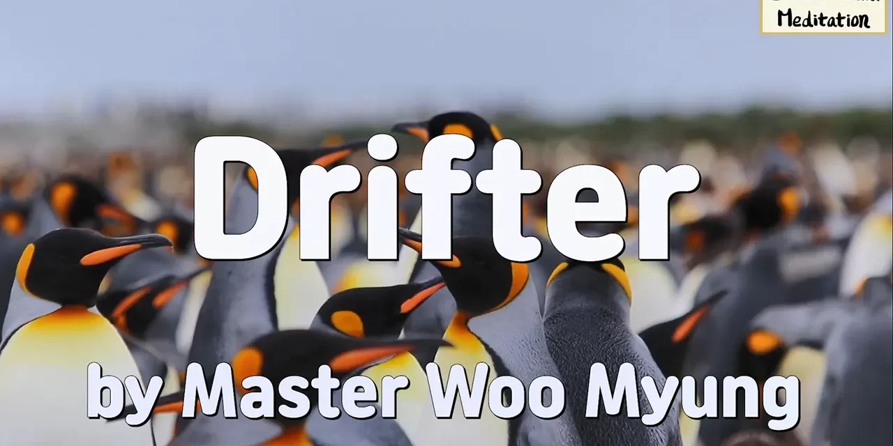 🌬️ Drifter: the wandering mind and the burden of the self | Master Woo Myung | Santa Clara Meditation