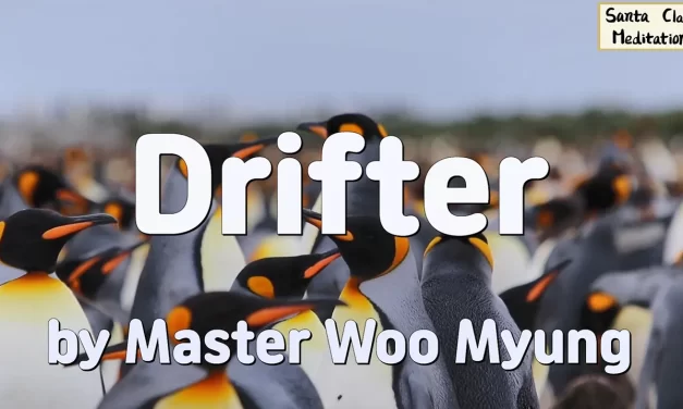 🌬️ Drifter: the wandering mind and the burden of the self | Master Woo Myung | Santa Clara Meditation
