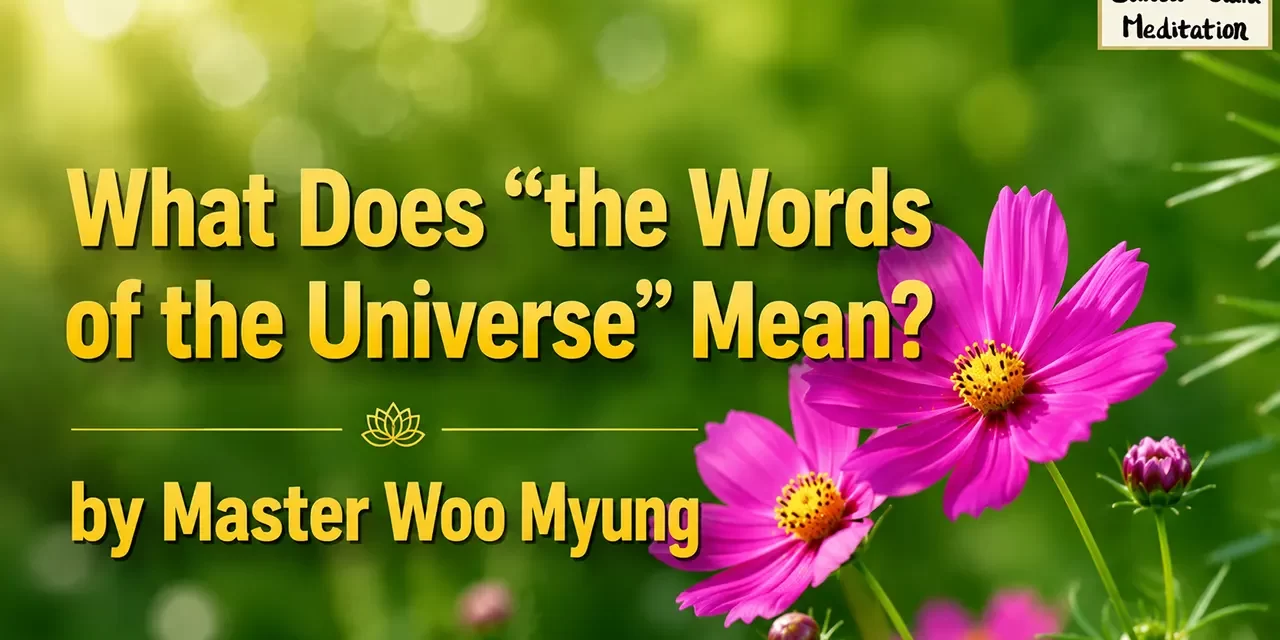 🕊️ What Does “the Words of the Universe” Mean?: truth spoken harmony nature flow | Master Woo Myung | Santa Clara Meditation