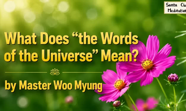 🕊️ What Does “the Words of the Universe” Mean?: truth spoken harmony nature flow | Master Woo Myung | Santa Clara Meditation