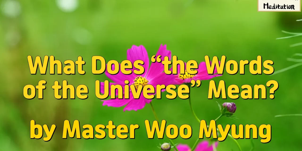 🕊️ What Does “the Words of the Universe” Mean?: truth spoken harmony nature flow | Master Woo Myung | Santa Clara Meditation