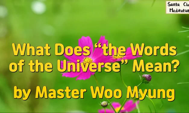 🕊️ What Does “the Words of the Universe” Mean?: truth spoken harmony nature flow | Master Woo Myung | Santa Clara Meditation