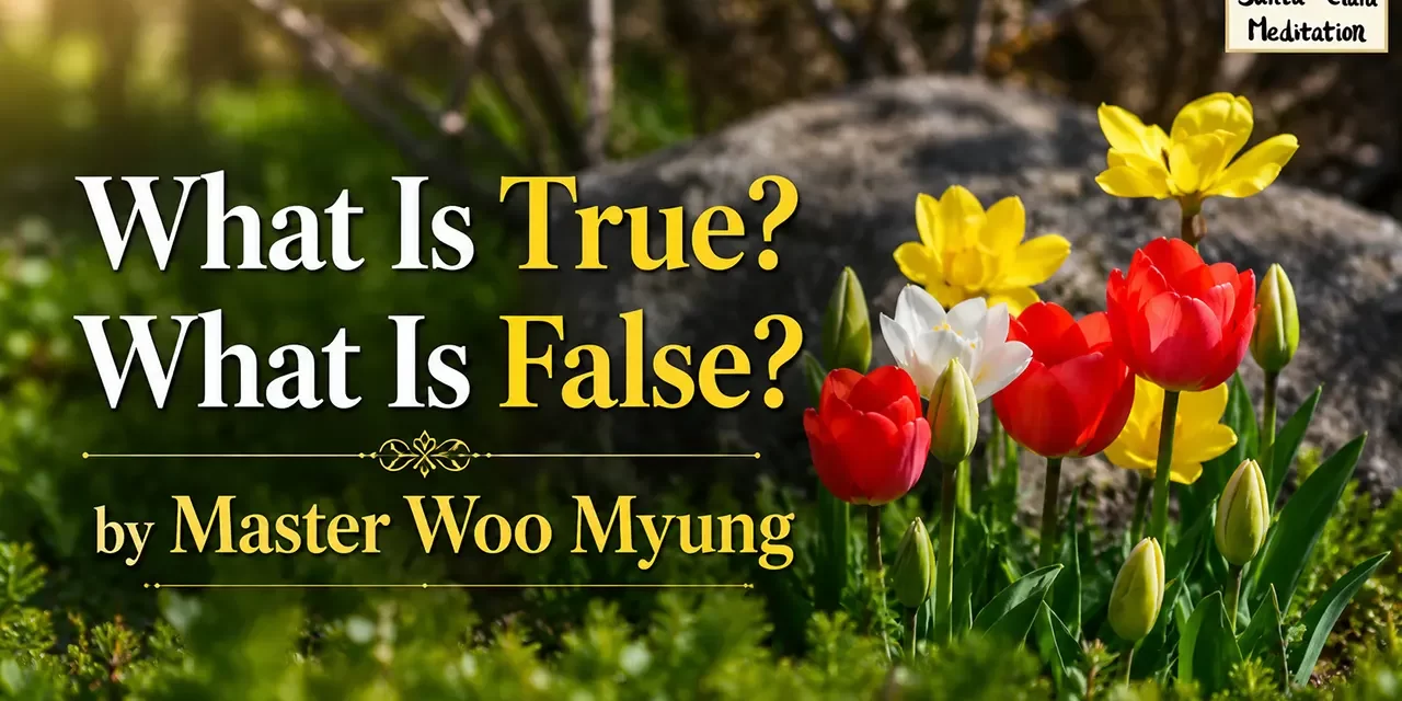 ✨ What Is True? What Is False? Understanding Completion and Truth in the Age of Spiritual Creation | Master Woo Myung | Santa Clara Meditation