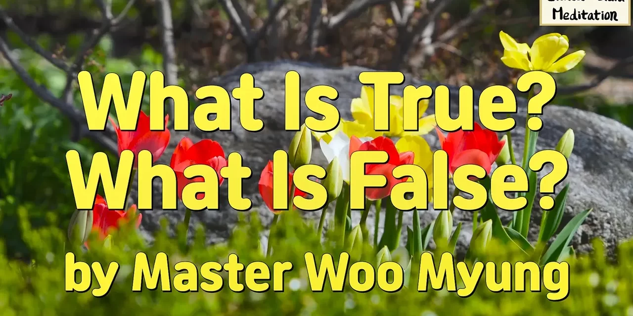 ✨ What Is True? What Is False? Understanding Completion and Truth in the Age of Spiritual Creation | Master Woo Myung | Santa Clara Meditation