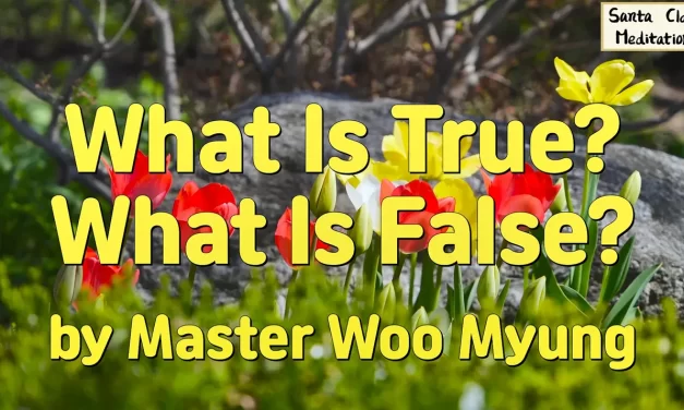 ✨ What Is True? What Is False? Understanding Completion and Truth in the Age of Spiritual Creation | Master Woo Myung | Santa Clara Meditation