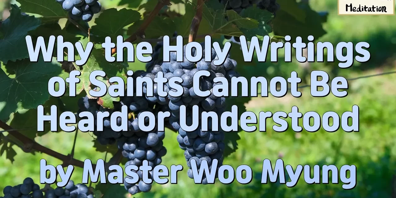 📜 Why the Holy Writings of Saints Cannot Be Heard or Understood | Master Woo Myung | Santa Clara Meditation