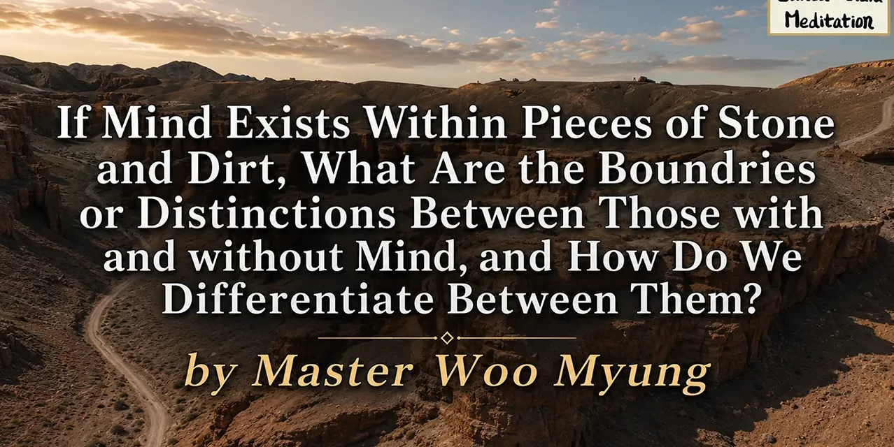 🌿 If Mind Exists Within Pieces of Stone and Dirt, What Are the Boundaries or Distinctions Between Those with and without Mind, and How Do We Differentiate Between Them?: nonduality all is mind | Master Woo Myung | Santa Clara Meditation
