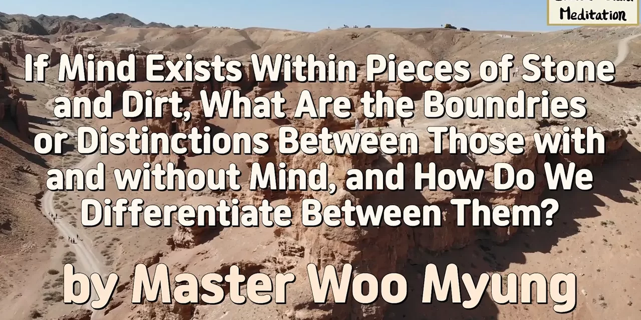 🌿 If Mind Exists Within Pieces of Stone and Dirt, What Are the Boundaries or Distinctions Between Those with and without Mind, and How Do We Differentiate Between Them?: nonduality all is mind | Master Woo Myung | Santa Clara Meditation