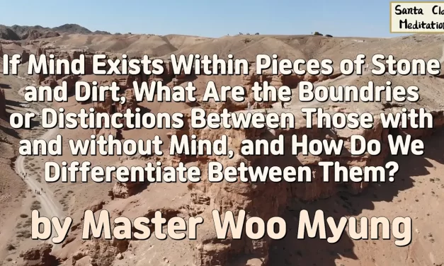 🌿 If Mind Exists Within Pieces of Stone and Dirt, What Are the Boundaries or Distinctions Between Those with and without Mind, and How Do We Differentiate Between Them?: nonduality all is mind | Master Woo Myung | Santa Clara Meditation