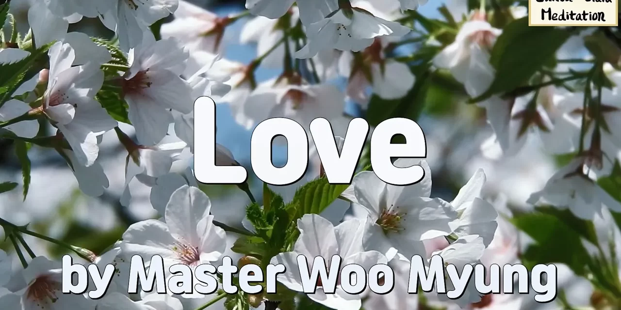 💖 Love: The Purest Human Quality That Brings Unity | Master Woo Myung | Santa Clara Meditation