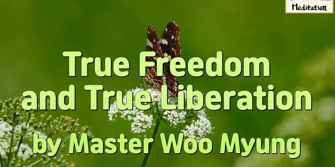 🕊️ True Freedom and True Liberation: Discarding the Self and Becoming God | Master Woo Myung | Santa Clara Meditation