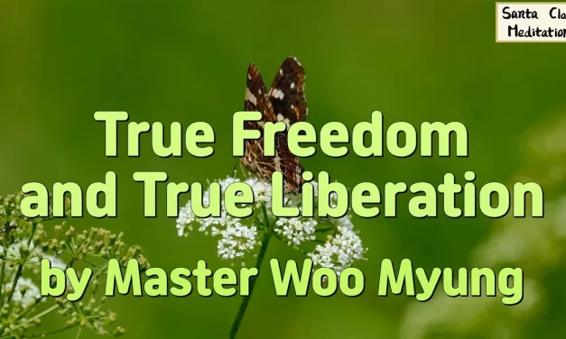 🕊️ True Freedom and True Liberation: Discarding the Self and Becoming God | Master Woo Myung | Santa Clara Meditation
