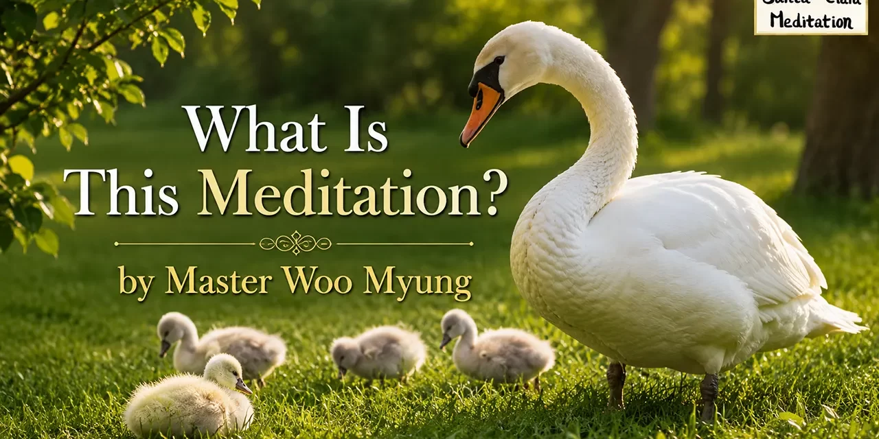π What Is This Meditation? Cleansing the False Mind and Becoming Truth While Living | Master Woo Myung | Santa Clara Meditation
