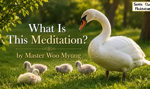 🌟 What Is This Meditation? Cleansing the False Mind and Becoming Truth While Living | Master Woo Myung | Santa Clara Meditation