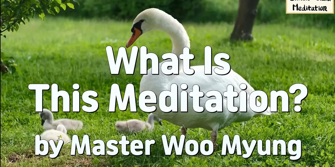 🌟 What Is This Meditation? Cleansing the False Mind and Becoming Truth While Living | Master Woo Myung | Santa Clara Meditation