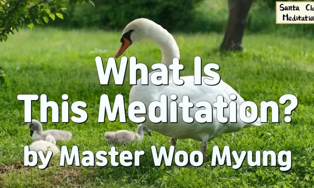 🌟 What Is This Meditation? Cleansing the False Mind and Becoming Truth While Living | Master Woo Myung | Santa Clara Meditation