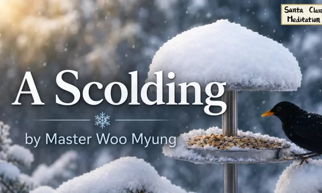 🌻 A Scolding: Why Comfort and Arrogance Keep You From Truth | Master Woo Myung | Santa Clara Meditation