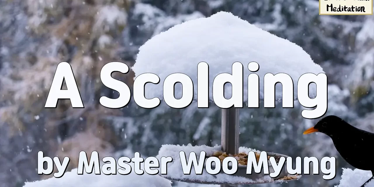 🌻 A Scolding: Why Comfort and Arrogance Keep You From Truth | Master Woo Myung | Santa Clara Meditation