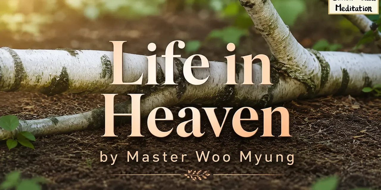 π Life in Heaven: A Dimension of Freedom, Truth, and Complete Liberation | Master Woo Myung | Santa Clara Meditation