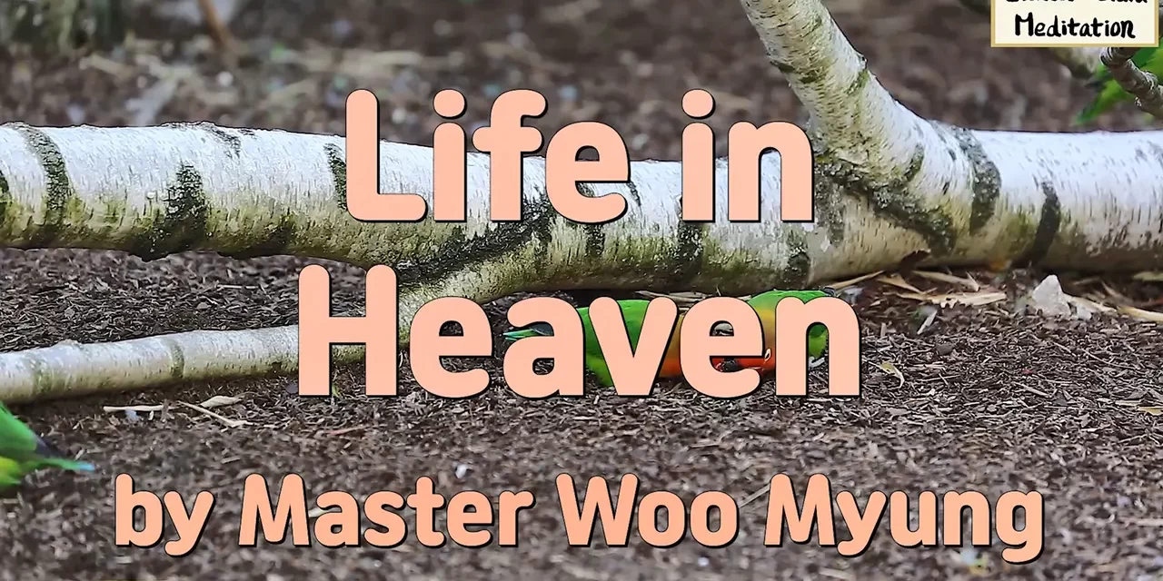 🌈 Life in Heaven: A Dimension of Freedom, Truth, and Complete Liberation | Master Woo Myung | Santa Clara Meditation