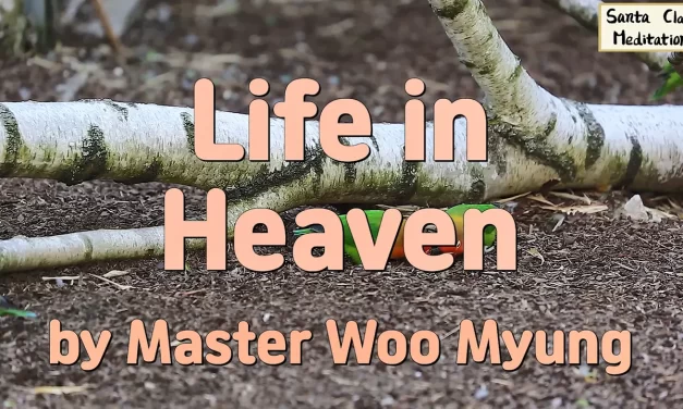 🌈 Life in Heaven: A Dimension of Freedom, Truth, and Complete Liberation | Master Woo Myung | Santa Clara Meditation