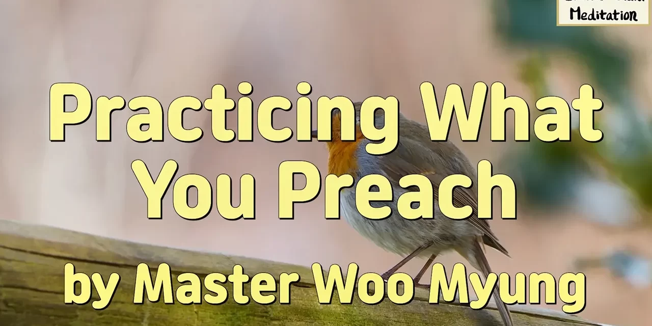 🌿 Practicing What You Preach: becoming Truth in thought and action | Master Woo Myung | Santa Clara Meditation