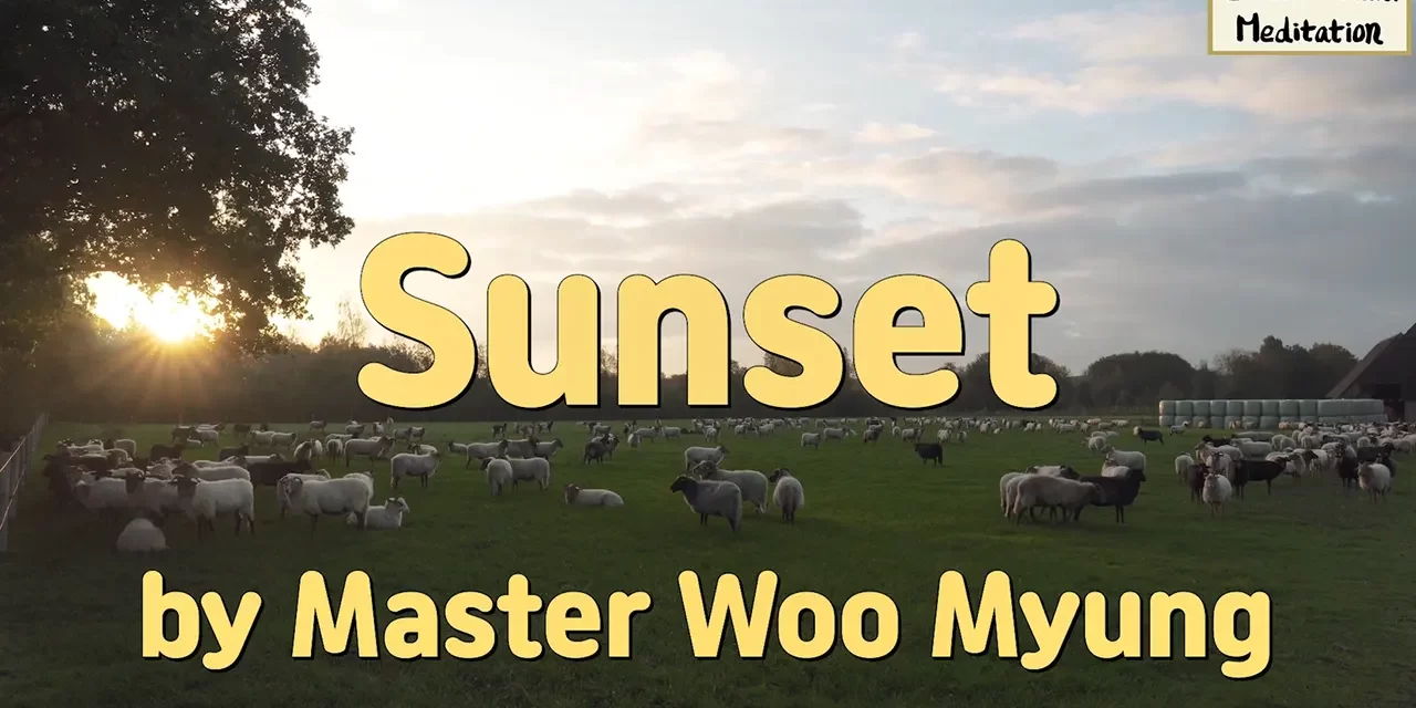 🌇 Sunset: Life Doesn’t Come Twice – Awaken Before Regret | Master Woo Myung | Santa Clara Meditation