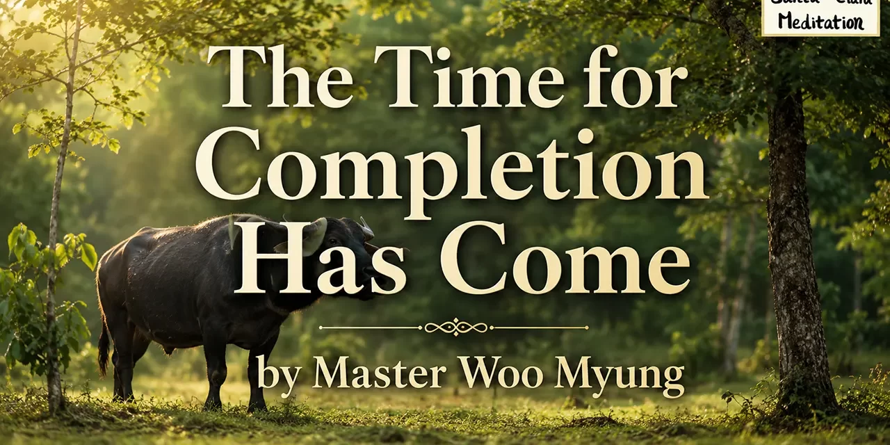 π
The Time for Completion Has Come: becoming Truth and building Heaven on Earth | Master Woo Myung | Santa Clara Meditation
