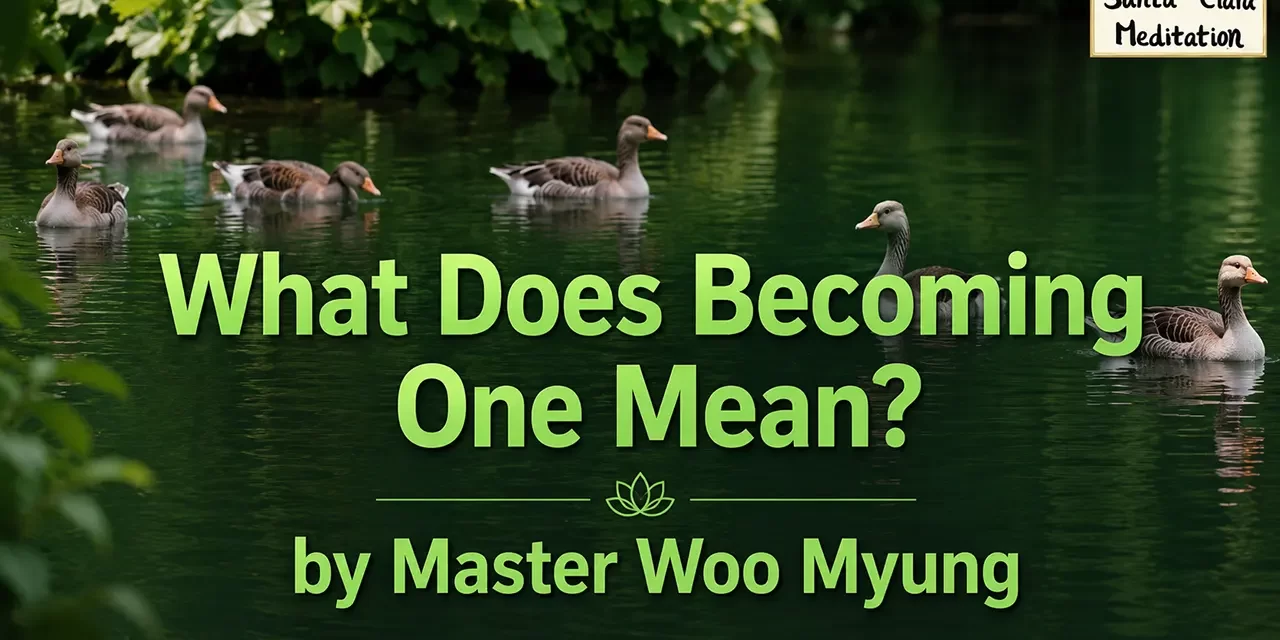 π What Does Becoming One Mean?: unity of all things heaven earth man | Master Woo Myung | Santa Clara Meditation