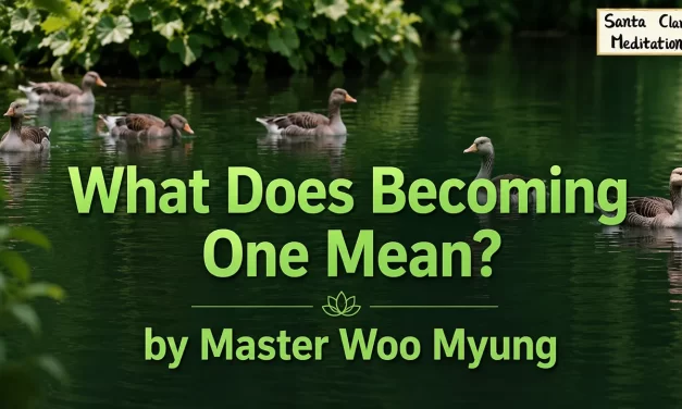 🌈 What Does Becoming One Mean?: unity of all things heaven earth man | Master Woo Myung | Santa Clara Meditation