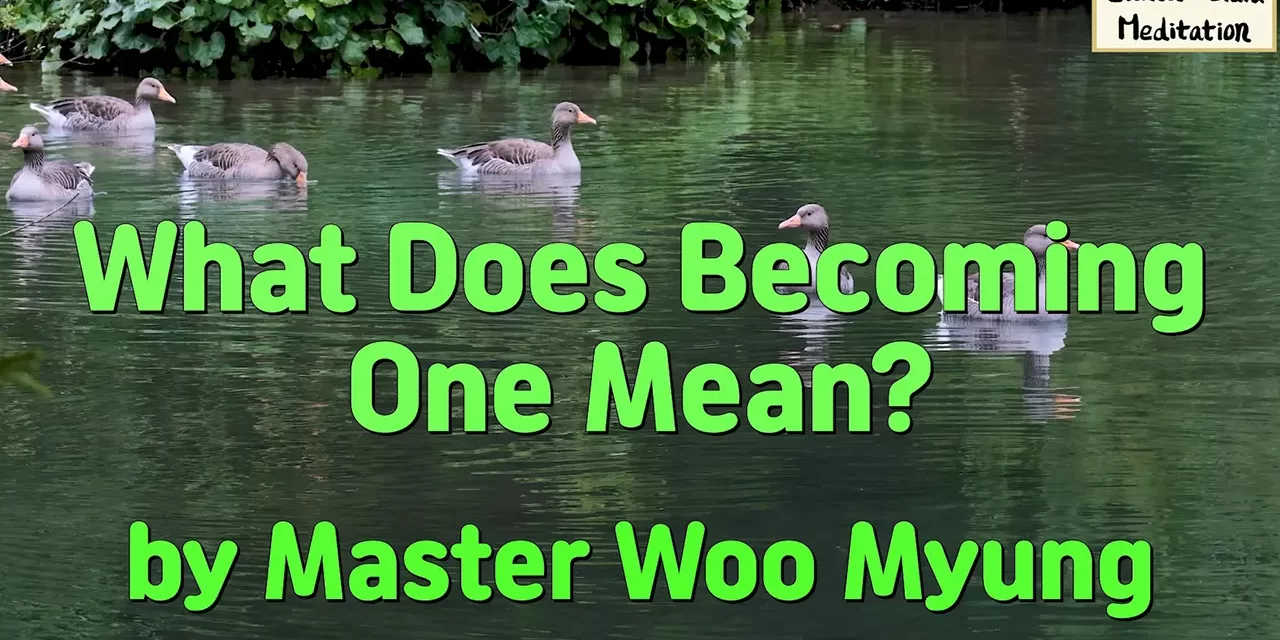 🌈 What Does Becoming One Mean?: unity of all things heaven earth man | Master Woo Myung | Santa Clara Meditation