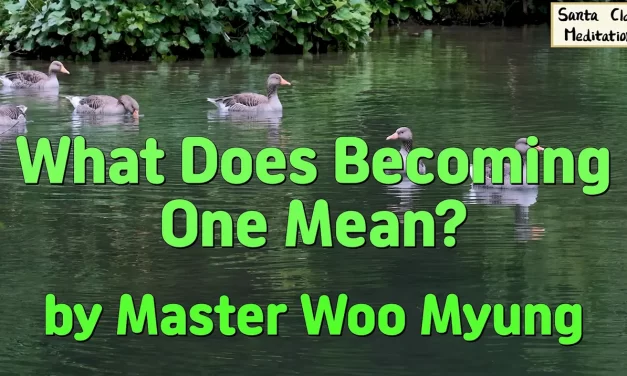 🌈 What Does Becoming One Mean?: unity of all things heaven earth man | Master Woo Myung | Santa Clara Meditation