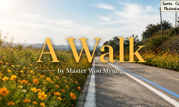 🍂 A Walk: the quiet path of life and fading dreams | Master Woo Myung | Santa Clara Meditation