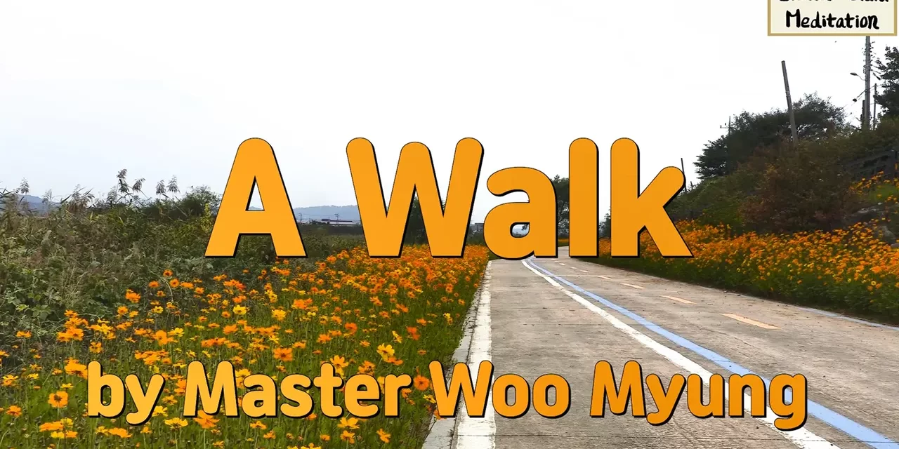 🍂 A Walk: the quiet path of life and fading dreams | Master Woo Myung | Santa Clara Meditation