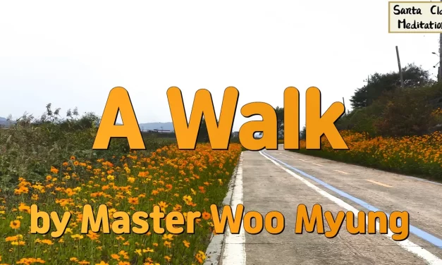 🍂 A Walk: the quiet path of life and fading dreams | Master Woo Myung | Santa Clara Meditation