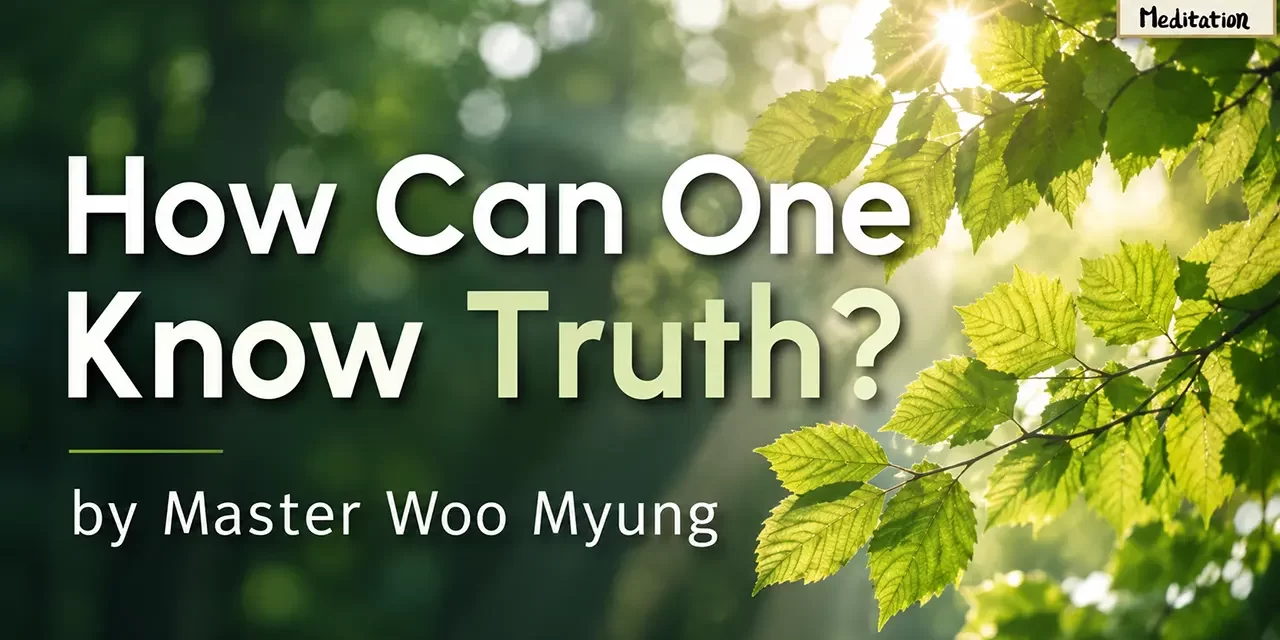 π How Can One Know Truth?: The Path to Becoming Truth Itself | Master Woo Myung | Santa Clara Meditation