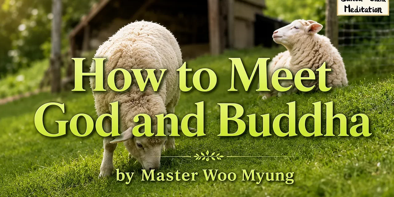 🌼 How to Meet God and Buddha: Discovering the True Mind Through Wisdom and Cleansing | Master Woo Myung | Santa Clara Meditation