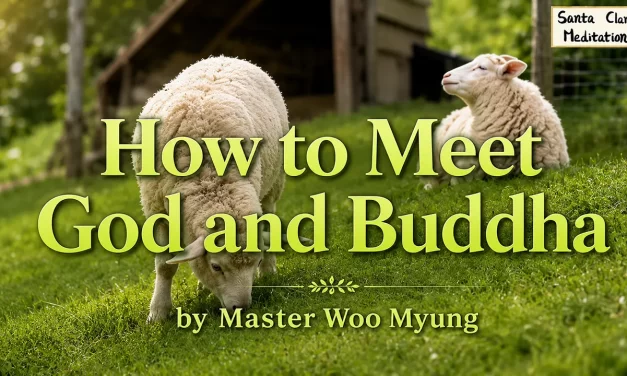 🌼 How to Meet God and Buddha: Discovering the True Mind Through Wisdom and Cleansing | Master Woo Myung | Santa Clara Meditation